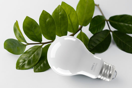 Watt’s the Deal with LEDs? Understanding Energy Use in a Smarter Lighting Age