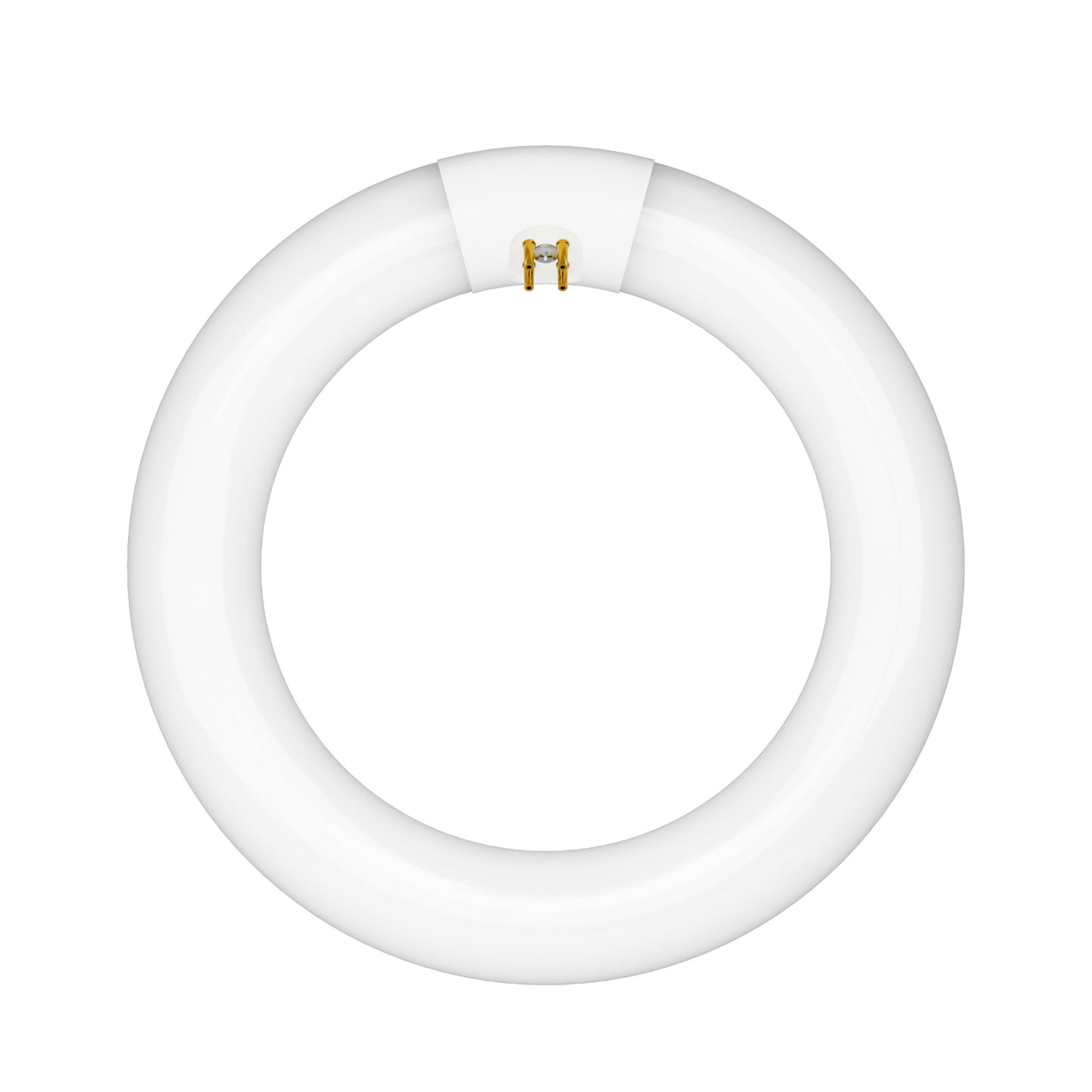 22W 8in T9 Circular Cool White 4-Pin G10q Base Non-Dimmable Fluorescent Light Tube