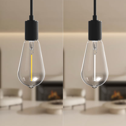 60W Replacement ST19 White Filament Soft White Medium E26 Base Dimmable LED Light Bulb (2-Pack)