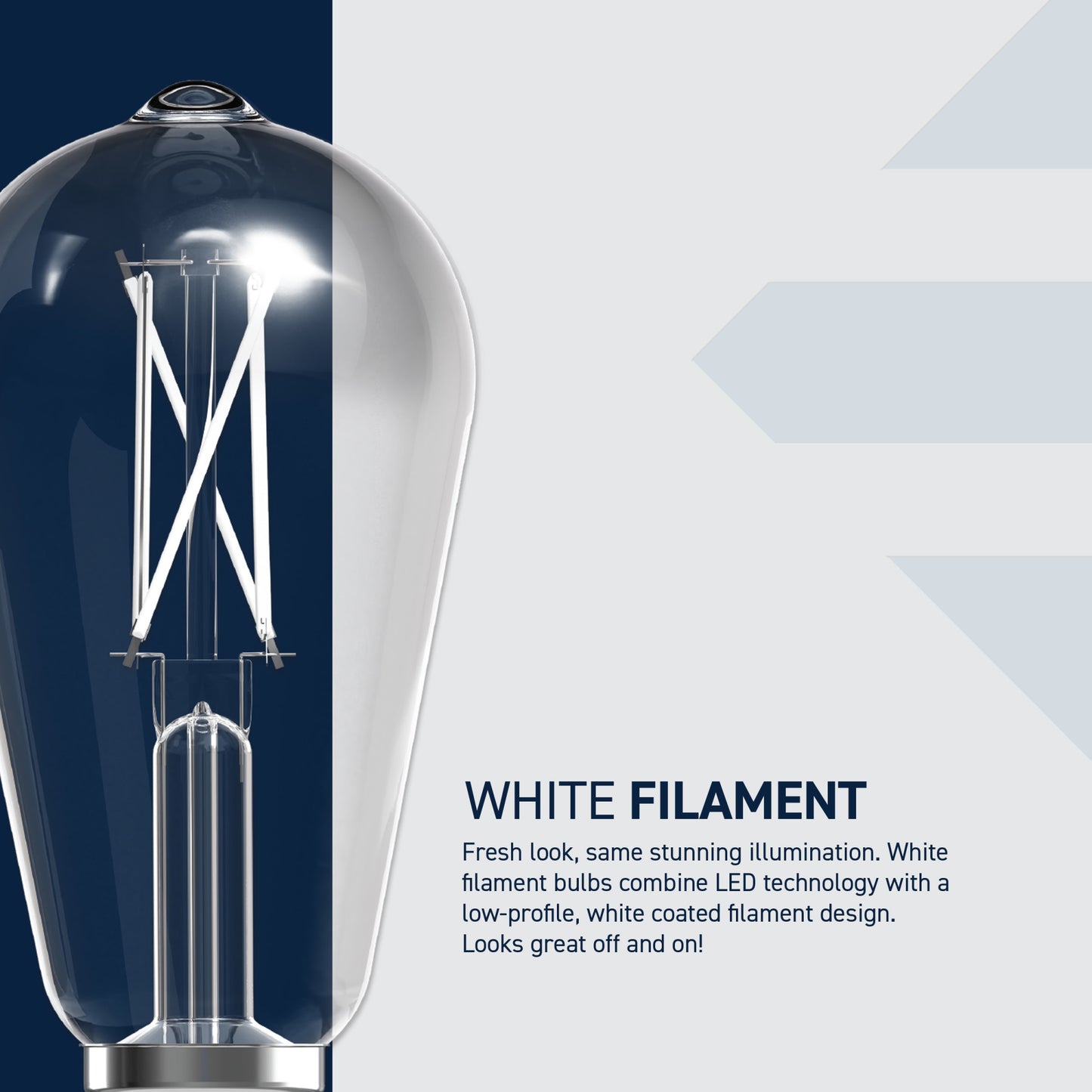 60W Replacement ST19 White Filament Switchable White Medium E26 Base Dimmable LED Light Bulb (2-Pack)