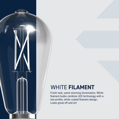 60W Replacement ST19 White Filament Switchable White Medium E26 Base Dimmable LED Light Bulb (2-Pack)