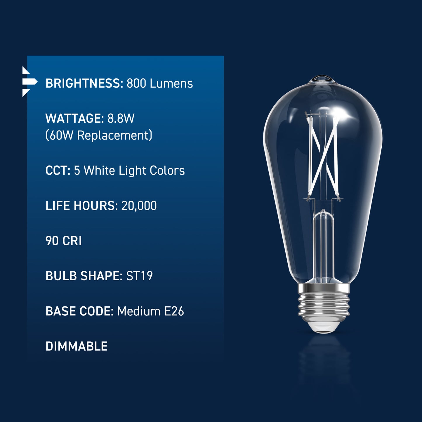 60W Replacement ST19 White Filament Switchable White Medium E26 Base Dimmable LED Light Bulb (2-Pack)