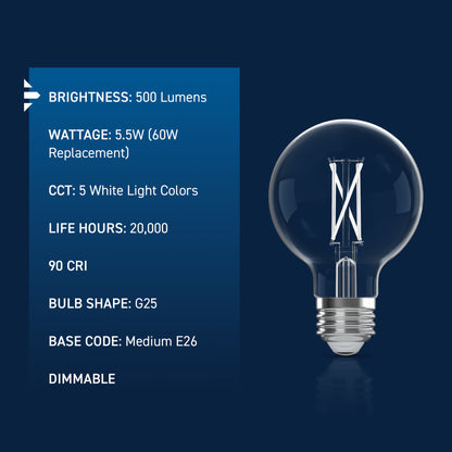 60W Replacement G25 White Filament Switchable White Medium E26 Base Dimmable LED Light Bulb (2-Pack)