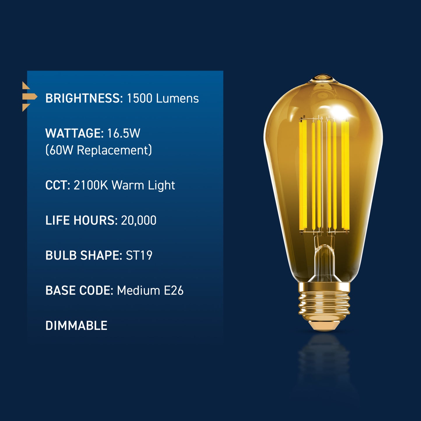 100W Replacement ST19 Vintage Filament Warm Light Medium E26 Base Dimmable LED Light Bulb (2-Pack)