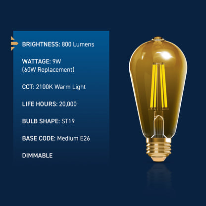 60W Replacement ST19 Vintage Filament Warm Light Medium E26 Base Dimmable LED Light Bulb (2-Pack)