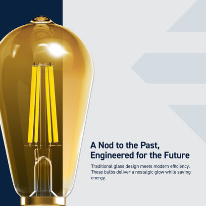 60W Replacement ST19 Vintage Filament Warm Light Medium E26 Base Dimmable LED Light Bulb (2-Pack)