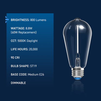 60W Replacement ST19 White Filament Daylight Medium E26 Base Dimmable LED Light Bulb (2-Pack)