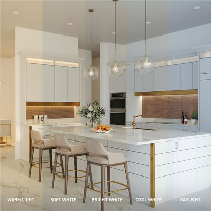 60W Replacement ST19 White Filament Switchable White Medium E26 Base Dimmable LED Light Bulb (2-Pack)