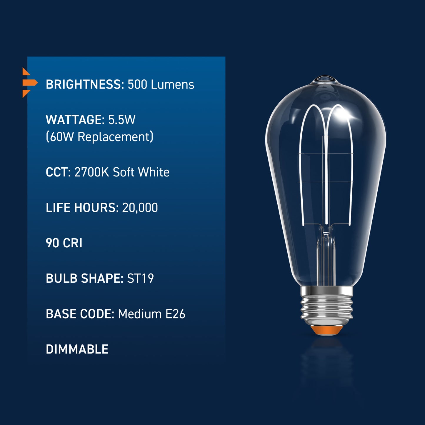 60W Replacement ST19 White Filament Soft White Medium E26 Base Dimmable LED Light Bulb (2-Pack)