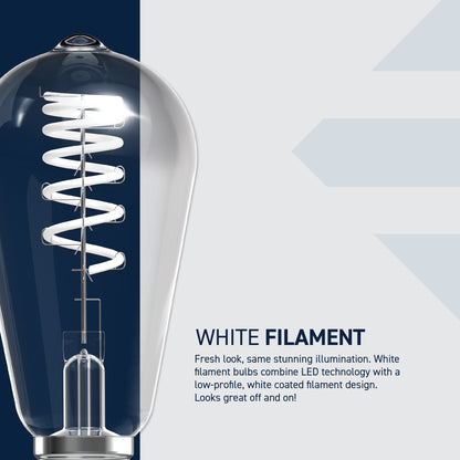 60W Replacement ST19 White Filament Switchable White Medium E26 Base Dimmable LED Light Bulb (2-Pack)