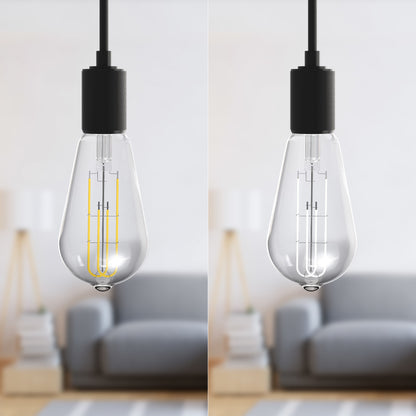 60W Replacement ST19 White Filament Switchable White Medium E26 Base Dimmable LED Light Bulb (2-Pack)