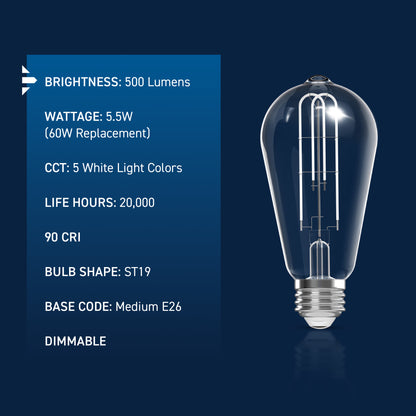 60W Replacement ST19 White Filament Switchable White Medium E26 Base Dimmable LED Light Bulb (2-Pack)