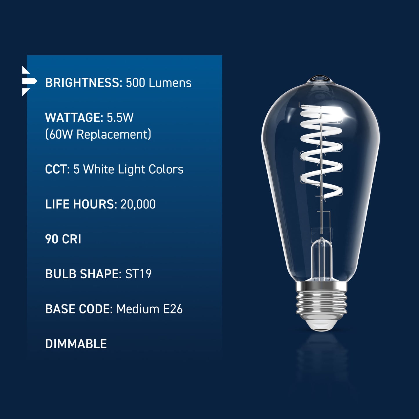 60W Replacement ST19 White Filament Switchable White Medium E26 Base Dimmable LED Light Bulb (2-Pack)