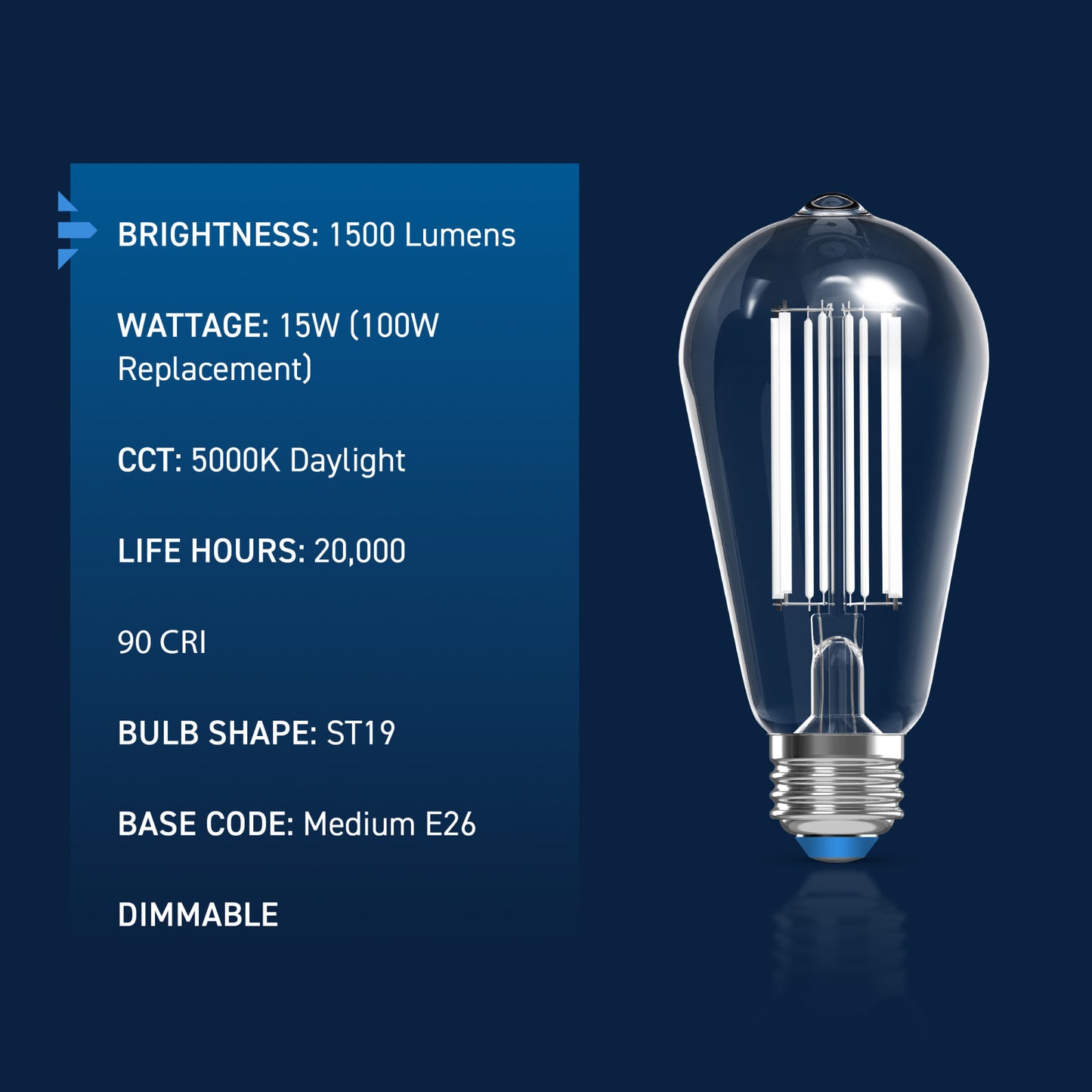 100W Replacement ST19 White Filament Daylight Medium E26 Base Dimmable LED Light Bulb (2-Pack)