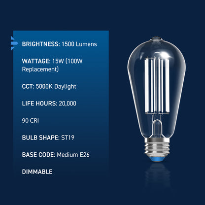 100W Replacement ST19 White Filament Daylight Medium E26 Base Dimmable LED Light Bulb (2-Pack)