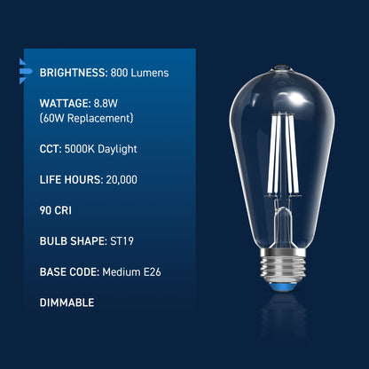 60W Replacement ST19 White Filament Daylight Medium E26 Base Dimmable LED Light Bulb (2-Pack)