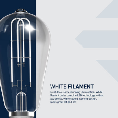60W Replacement ST19 White Filament Switchable White Medium E26 Base Dimmable LED Light Bulb (2-Pack)