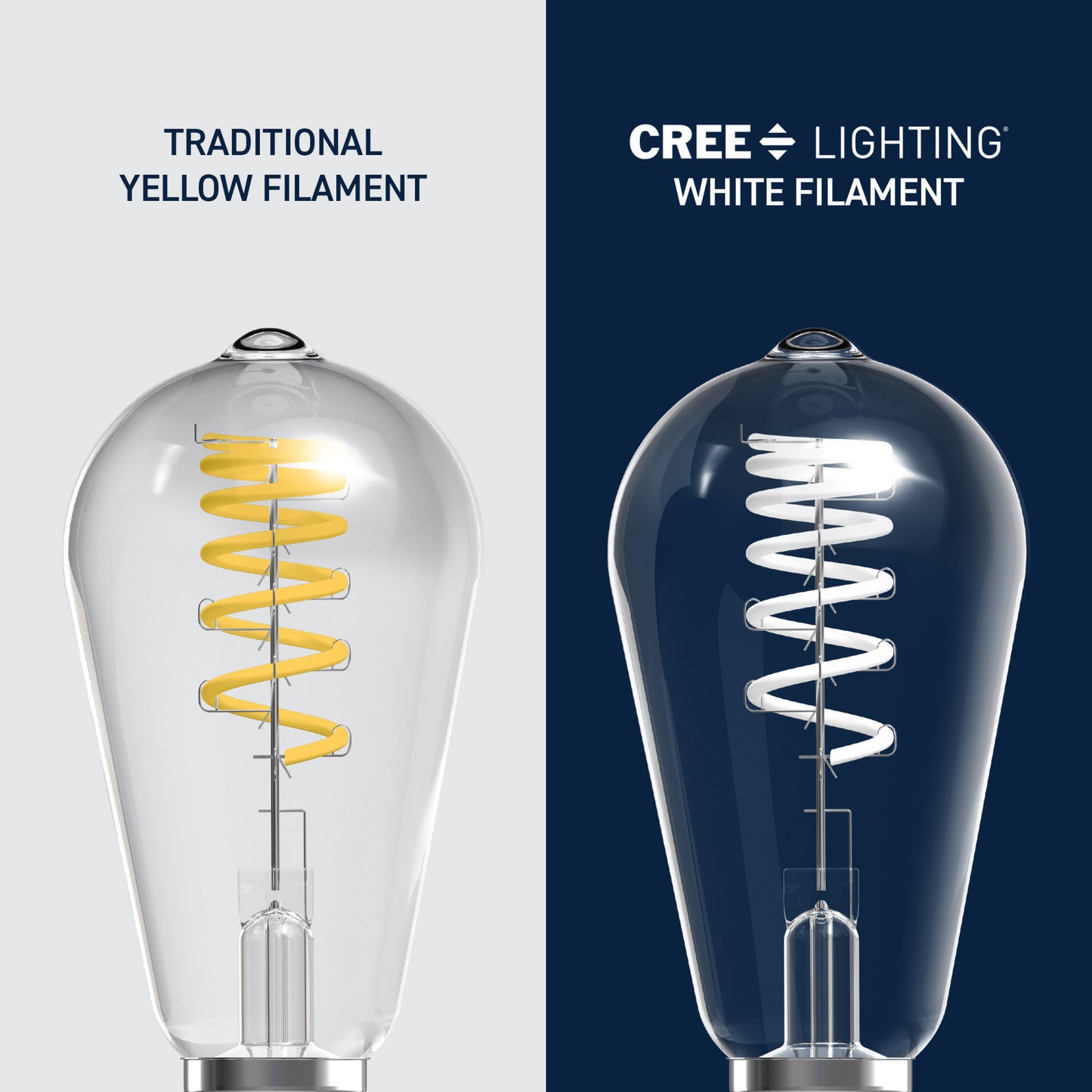 60W Replacement ST19 White Filament Switchable White Medium E26 Base Dimmable LED Light Bulb (2-Pack)