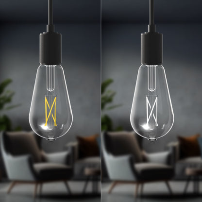 60W Replacement ST19 White Filament Switchable White Medium E26 Base Dimmable LED Light Bulb (2-Pack)
