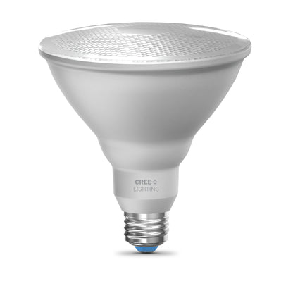 90W Replacement PAR38 Daylight Medium E26 Base Dimmable LED Light Bulb (2-Pack)