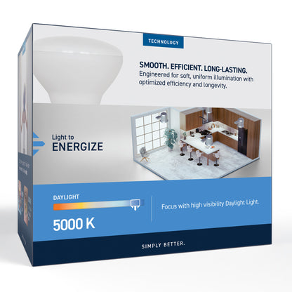 85W Replacement BR30 Daylight Medium E26 Base Dimmable LED Light Bulb (2-Pack)