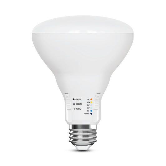 65/85/100W Replacement BR30 Adjustable Brightness 5 Shades + Switch Mode Medium E26 Base Dimmable LED Light Bulb (2-Pack)