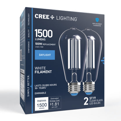 100W Replacement ST19 White Filament Daylight Medium E26 Base Dimmable LED Light Bulb (2-Pack)