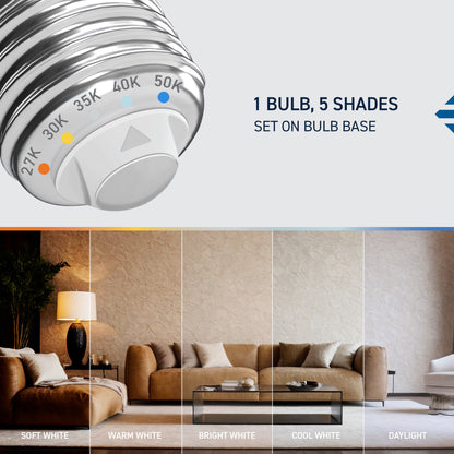 40W Replacement BA10 White Filament Switchable White Medium E26 Base Dimmable LED Light Bulb (3-Pack)