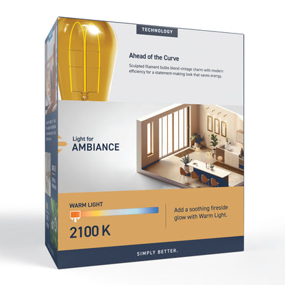 60W Replacement ST19 Vintage Flexible Filament Warm Light Medium E26 Base Dimmable LED Light Bulb (2-Pack)