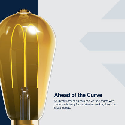 60W Replacement ST19 Vintage Flexible Filament Warm Light Medium E26 Base Dimmable LED Light Bulb (2-Pack)