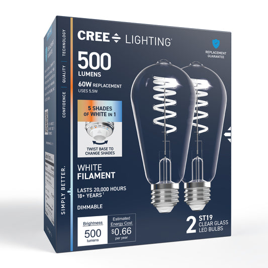 60W Replacement ST19 White Filament Switchable White Medium E26 Base Dimmable LED Light Bulb (2-Pack)