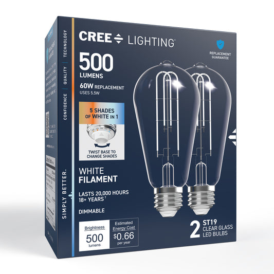 60W Replacement ST19 White Filament Switchable White Medium E26 Base Dimmable LED Light Bulb (2-Pack)