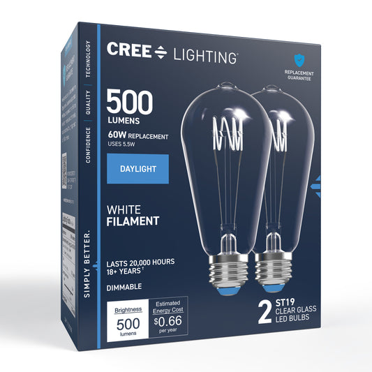 60W Replacement ST19 White Filament Daylight Medium E26 Base Dimmable LED Light Bulb (2-Pack)