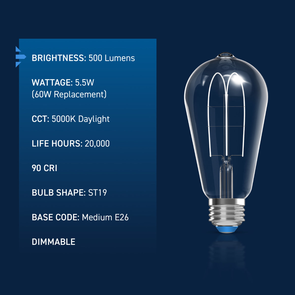 60W Replacement ST19 White Filament Daylight Medium E26 Base Dimmable LED Light Bulb (2-Pack)