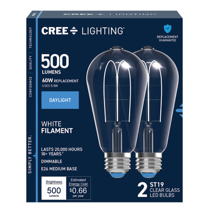 60W Replacement ST19 White Filament Daylight Medium E26 Base Dimmable LED Light Bulb (2-Pack)