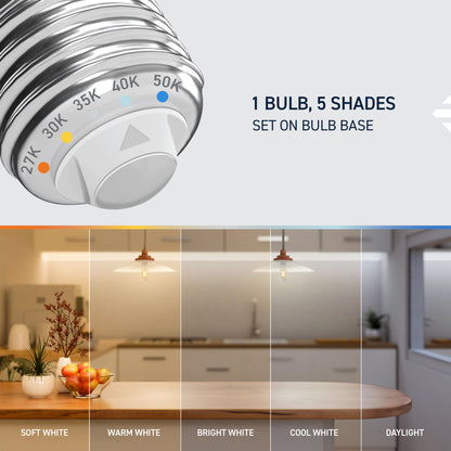 60W Replacement T14 White Filament Switchable White Medium E26 Base Dimmable LED Light Bulb (2-Pack)