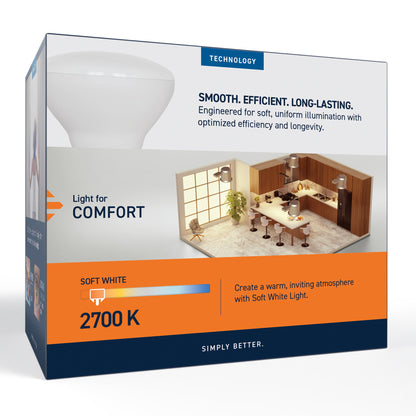 65W Replacement BR30 Soft White Medium E26 Base Dimmable LED Light Bulb (2-Pack)