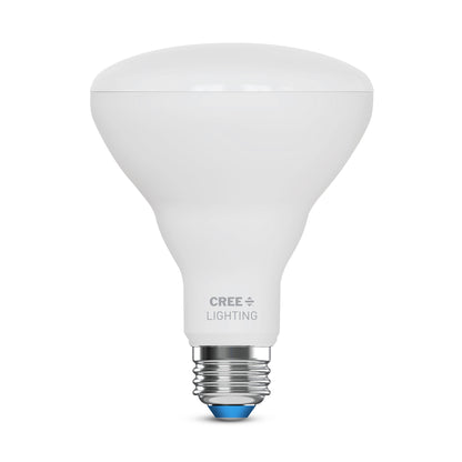 65W Replacement BR30 Daylight Medium E26 Base Dimmable LED Light Bulb (2-Pack)