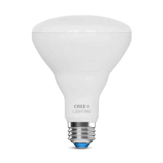 65W Replacement BR30 Daylight Medium E26 Base Dimmable LED Light Bulb (2-Pack)