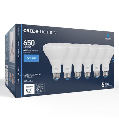 65W Replacement BR30 Daylight Medium E26 Base Dimmable LED Light Bulb (6-Pack)