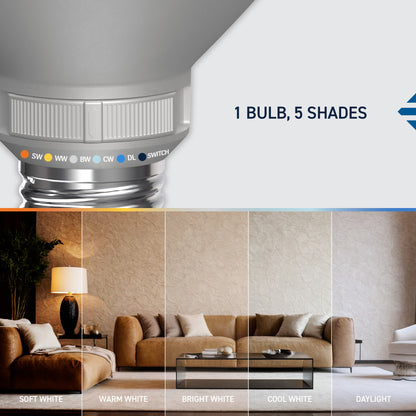 75W Replacement PAR30 5 Shades + Switch Mode Medium E26 Base Dimmable LED Light Bulb (2-Pack)