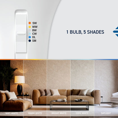 60W Replacement A19 5 Shades + Switch Mode Medium E26 Base Dimmable LED Light Bulb (4-Pack)