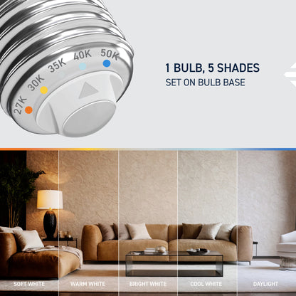 60W Replacement A19 White Filament Switchable White Medium E26 Base Dimmable LED Light Bulb (4-Pack)