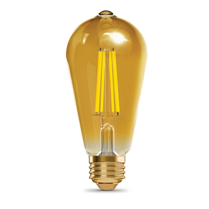 60W Replacement ST19 Vintage Filament Warm Light Medium E26 Base Dimmable LED Light Bulb (2-Pack)