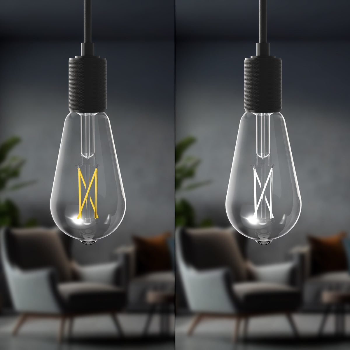 60W Replacement ST19 White Filament Switchable White Medium E26 Base Dimmable LED Light Bulb (2-Pack)