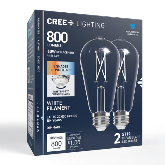 60W Replacement ST19 White Filament Switchable White Medium E26 Base Dimmable LED Light Bulb (2-Pack)