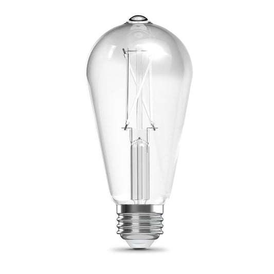 60W Replacement ST19 White Filament Switchable White Medium E26 Base Dimmable LED Light Bulb (2-Pack)