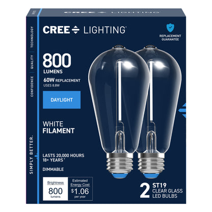 60W Replacement ST19 White Filament Daylight Medium E26 Base Dimmable LED Light Bulb (2-Pack)