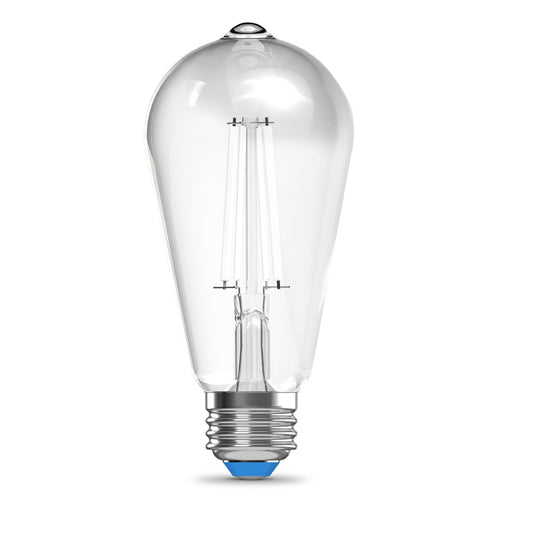 60W Replacement ST19 White Filament Daylight Medium E26 Base Dimmable LED Light Bulb (2-Pack)