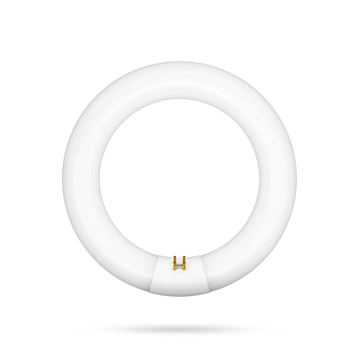 22W 8in T9 Circular Warm White 4-Pin G10q Base Non-Dimmable Fluorescent Light Tube